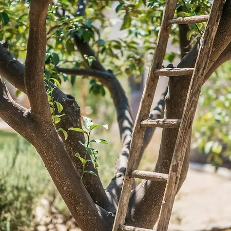 Delle Zagare - Private Hydromassage Pool Nyaraló Surbo