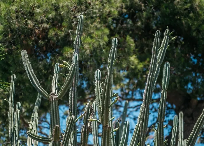 Delle Zagare - Private Hydromassage Pool Dom wakacyjny *