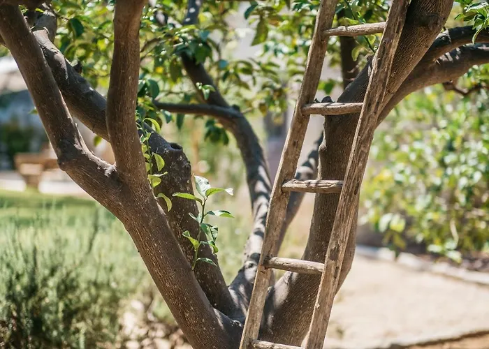 Delle Zagare - Private Hydromassage Pool Dom wakacyjny Surbo